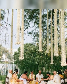 a group of people sitting on top of a bench in front of some tall trees