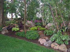 a garden with rocks and plants in it