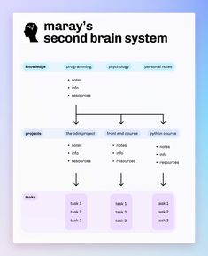 free notion templates Productive System, Brain Diagram, Parts Work, Brain System, Second Brain, Brain Structure, Commonplace Book