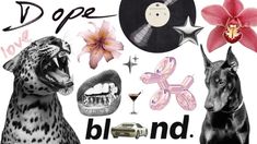 a black and white photo with pink flowers, leopards, vinyl records, and an orchid