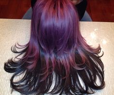 Purple hair Purple Hair With Black Tips, Purple Racoon Tail Hair, Back Of Hair Dyed, Purple Hair With Highlights, Purple Hair With Blonde Highlights, Purple Lowlights In Brown Hair, Purple Skunk Hair, Purple Gradient Hair, Purple Chunky Highlights