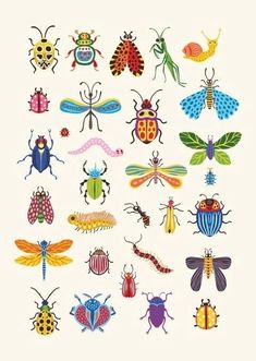 a group of different colored bugs on a white background