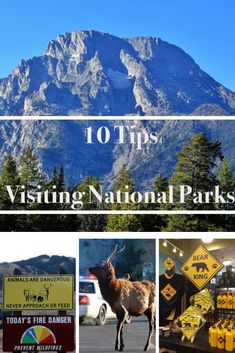 the top 10 tips for visiting national parks