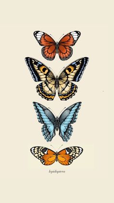 three butterflies are shown in a black frame