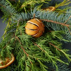 an ornament is hanging from a tree branch with oranges in the foreground