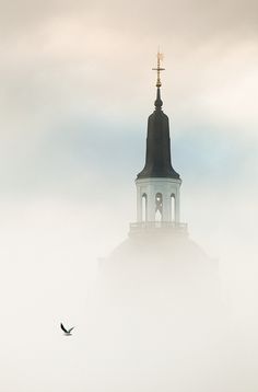 black and white photograph of a church steeple in the fog with two birds flying by