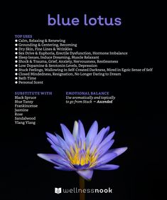 Lotus Flower Tea Benefits, Blue Lotus Herb Benefits, Blue Lotus Spiritual Meaning, Blue Lotus Essential Oil Benefits, Blue Lotus Tincture Recipe, Blue Lotus Benefits, Blue Lotus Magical Properties, Blue Lotus Tea Benefits, Blue Lotus Flower Benefits