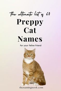 the ultimate list of 50 preppy cat names for your feline friend by themaning book