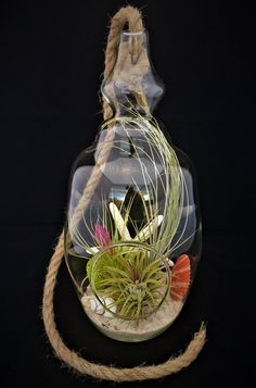 an air plant in a glass vase with rope