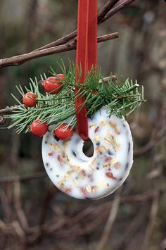 a donut ornament hanging from a tree branch with berries and pine needles