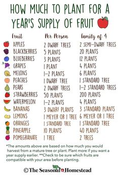 an image of how much to plant for a year's supply of fruit