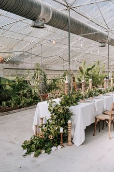 a long table covered with plants in a greenhouse