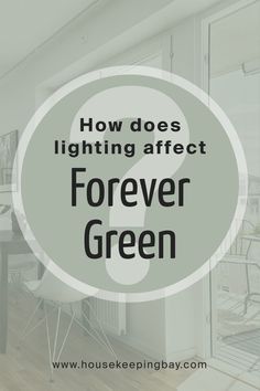 How Does Lighting Affect Forever Green SW 9653? Paint Colours, Forever Green, Artificial Light, Natural Sunlight, Green Kitchen, Trim Color, Coordinating Colors, Sherwin Williams, Paint Color