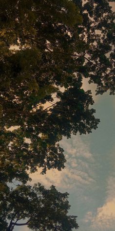 an airplane flying through the sky with trees around it and clouds in the back ground