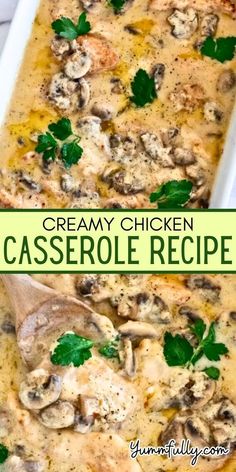 creamy chicken casserole recipe with mushrooms and parsley