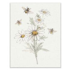 bees and daisies on a white background