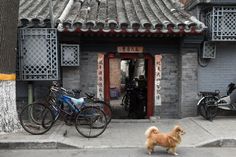 a small dog walking down the street in front of a building with bicycles parked outside