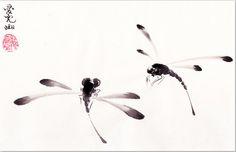 two black and white dragonflys flying in the air with chinese writing on it