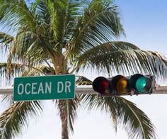 a traffic light that is next to a palm tree