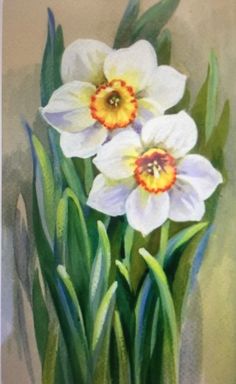 two white daffodils in a green vase with watercolors on paper