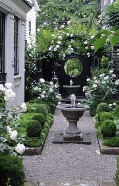 a garden with white flowers and greenery in the center, surrounded by stone walkways