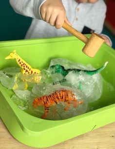 a child playing with plastic animals in an ice bucket