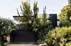 an entrance to a modern house surrounded by trees and shrubs in the foreground is a driveway