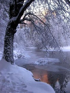 a river surrounded by trees covered in snow