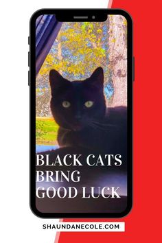 black cats bring good luck on the screen of an iphone with text reading, black cats bring good luck