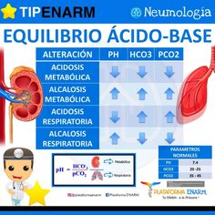 the diagram shows how to use an equilibrio acido - base for breathing