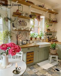 a kitchen filled with lots of potted plants