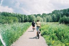 two people riding bikes on a path through tall grass and trees in the distance, while another person is walking behind them