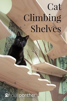 a black cat sitting on top of a wooden shelf with the words cat climbing shelves above it