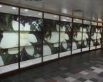 an empty room with large windows and tiled flooring in front of the wall is decorated with white flowers