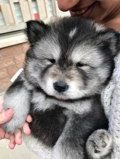 a woman holding a small dog in her arms