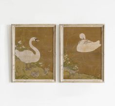 two framed paintings depicting swans and flowers