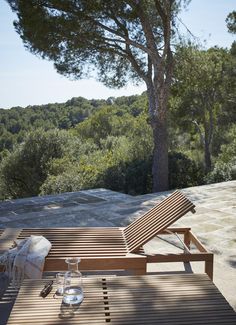 a wooden bench sitting next to a tree on top of a hill near a forest