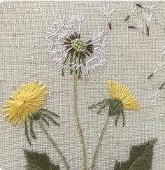 two yellow dandelions with green leaves on a piece of cloth