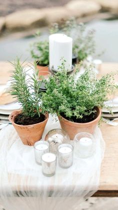 the table is set with candles and potted plants