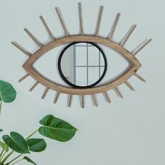 an eye shaped mirror mounted to the side of a wall next to a potted plant