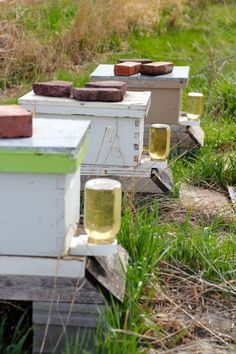 several beehives are lined up in the grass with honeybees on them