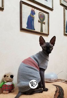 свитер для сфинкса Hand Knitted Sweaters, Cat Accessories, Dog Sweater, Sweater Knitting Patterns, Crochet Cat