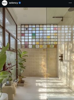 a bathroom with glass blocks on the wall and plants in the shower area, along with two sinks