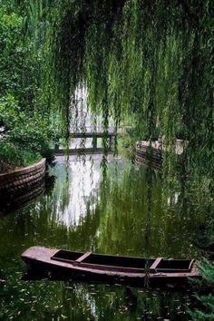 a small boat floating on top of a river next to a lush green tree filled forest