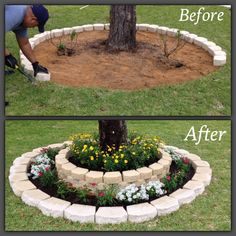 the before and after pictures show how to make a flower bed around a tree stump