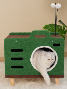 a white cat sitting in a green house shaped like a television set on top of a rug