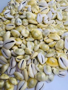 there are many shells on the white table top, one is yellow and has black stripes