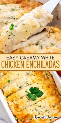 easy creamy white chicken enchiladas in a casserole dish with parsley