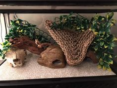 an aquarium with plants, rocks and other items on the bottom shelf in front of it