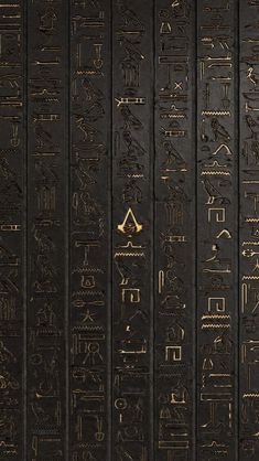 the egyptian hieroglyphics are all gold and black, with different symbols on them